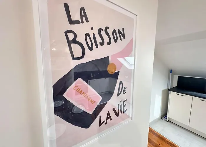 Forum Champagne Grand T2 Climatise Vue Cathedrale Apartman Reims